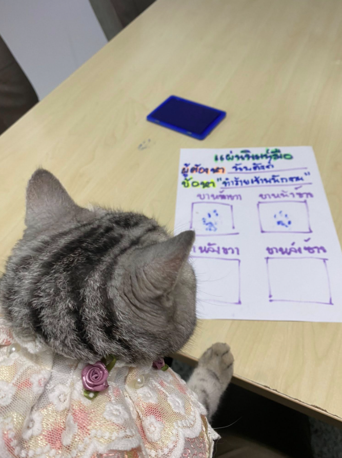 貓貓呆呆看著自己的指模。(互聯網)