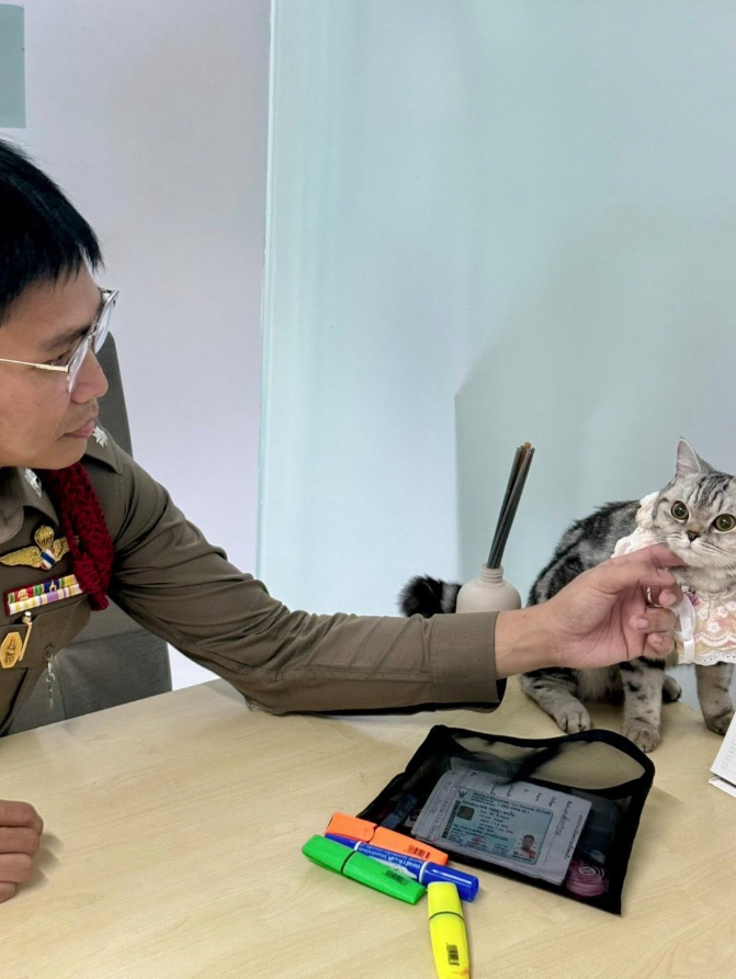 警員向貓貓問話。(互聯網)