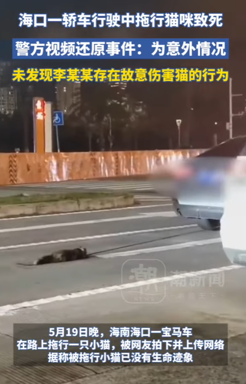 一隻小貓四肢被繩索捆綁,繩子的另一端繫在BMW車尾部,而這輛車在馬路上行駛時,小貓被一路拖行,慘不忍睹。