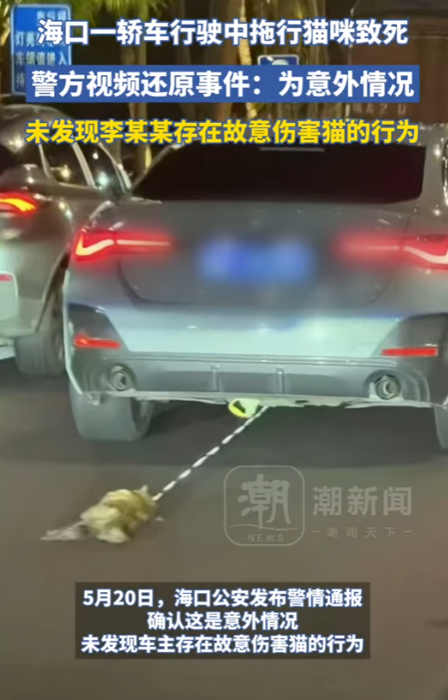 一隻小貓四肢被繩索捆綁,繩子的另一端繫在BMW車尾部,而這輛車在馬路上行駛時,小貓被一路拖行,慘不忍睹。
