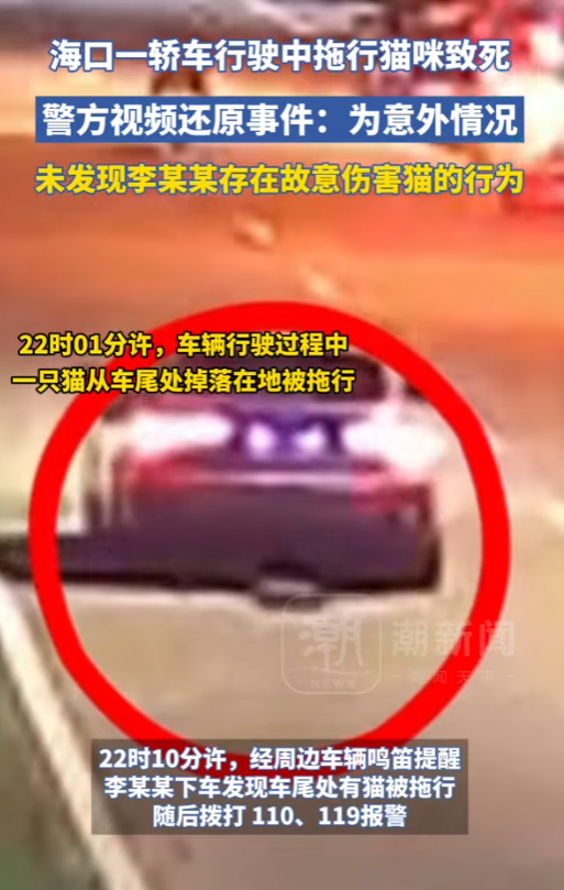 一隻小貓四肢被繩索捆綁,繩子的另一端繫在BMW車尾部,而這輛車在馬路上行駛時,小貓被一路拖行,慘不忍睹。