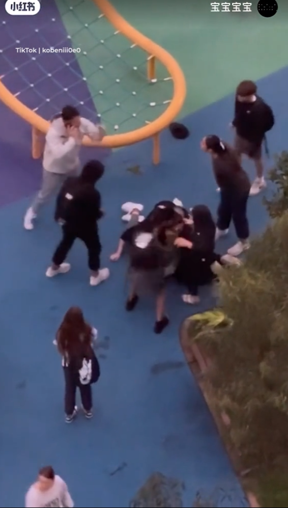 一名華裔女子被一群少年拳打腳踢及吐口水,同場另一名男子亦被毆。片中所見,男子曾試阻止行凶者打人,同時撥打電話求助。施襲過程持續約1分鐘,直至一名遛狗男子途經阻止,施襲者才離開現場。