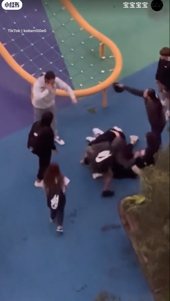 一名華裔女子被一群少年拳打腳踢及吐口水,同場另一名男子亦被毆。片中所見,男子曾試阻止行凶者打人,同時撥打電話求助。施襲過程持續約1分鐘,直至一名遛狗男子途經阻止,施襲者才離開現場。