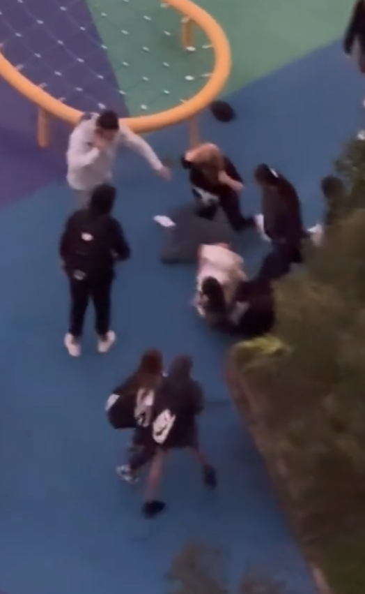 一名華裔女子被一群少年拳打腳踢及吐口水,同場另一名男子亦被毆。片中所見,男子曾試阻止行凶者打人,同時撥打電話求助。施襲過程持續約1分鐘,直至一名遛狗男子途經阻止,施襲者才離開現場。