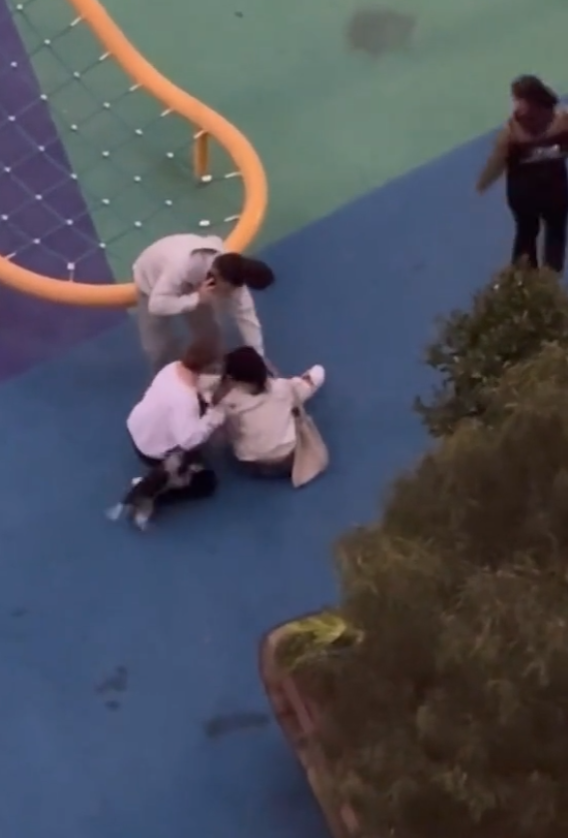 一名華裔女子被一群少年拳打腳踢及吐口水,同場另一名男子亦被毆。片中所見,男子曾試阻止行凶者打人,同時撥打電話求助。施襲過程持續約1分鐘,直至一名遛狗男子途經阻止,施襲者才離開現場。