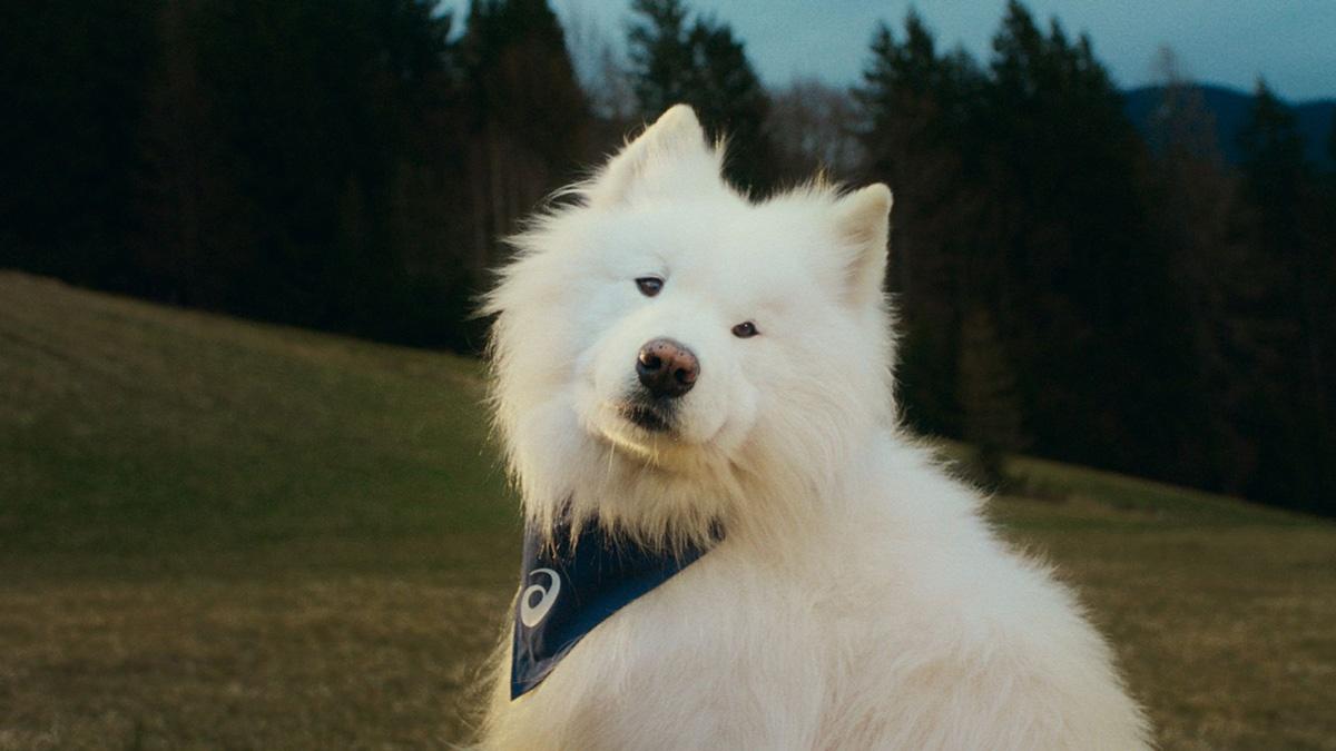 ASICS在影片中指出,狗狗激勵我們數百萬人走出家門,動起身體,活化心靈。(X)