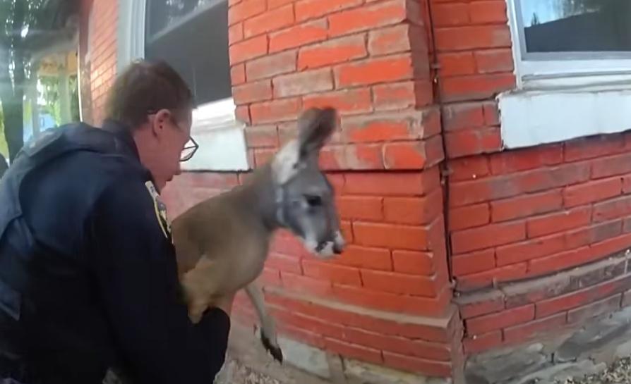 警員給牠摸摸作安慰,最後給牠一個大懷抱。(X)