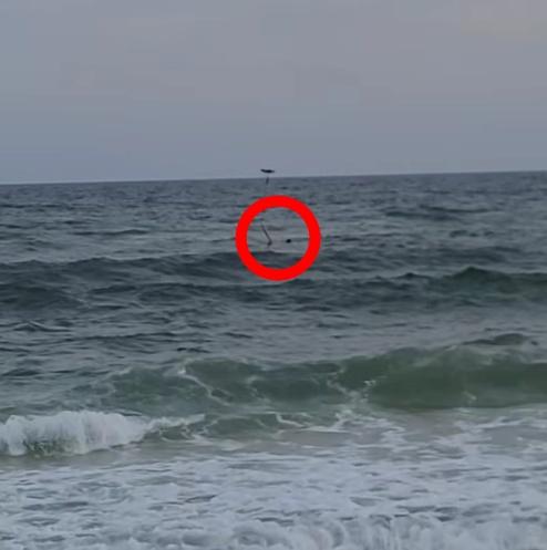 無人機把浮標裝置送到被困女孩身邊。(X)