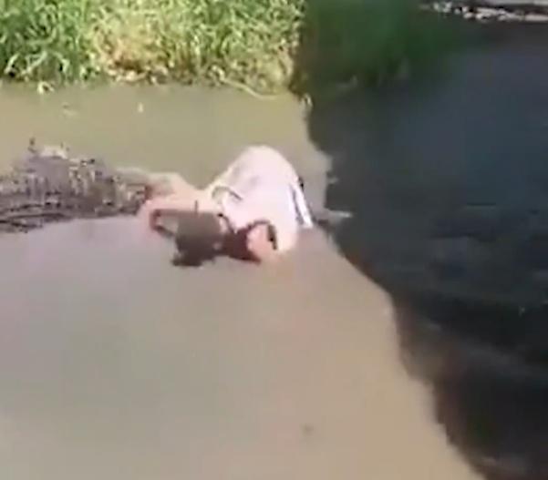 Lalay再咬住男子大腿拖行,施展死亡翻滾,狠狠咬住不肯鬆口。(X)