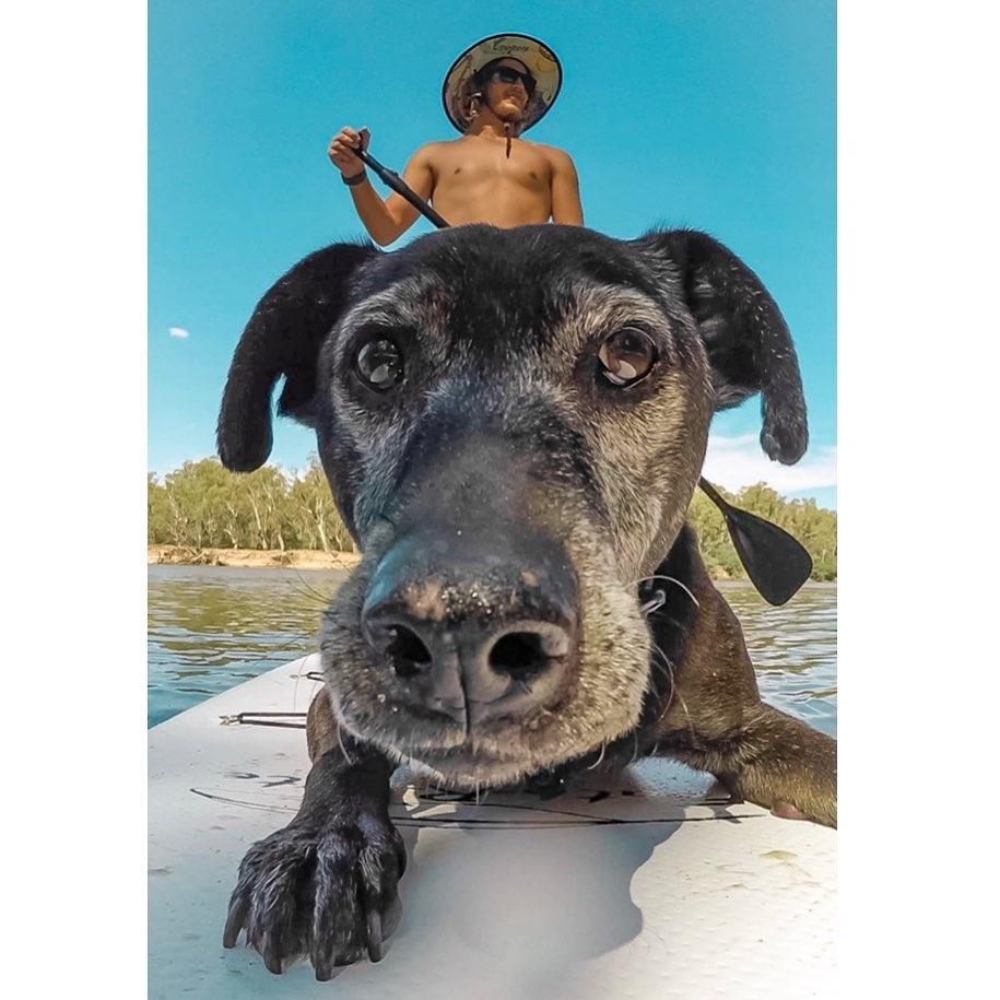 Ryan交了女朋友Lib,一狗兩人就變成三人組,經常出外遊玩。(IG)