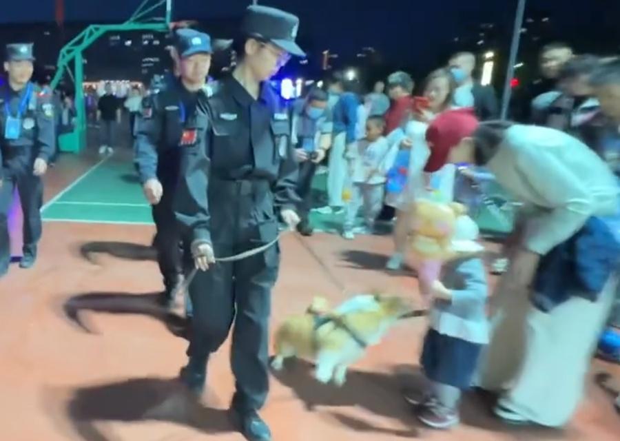 福仔竟然趁經過時一跳將腸仔叼走吃掉,動作之快,領犬員未及制止。(微博)