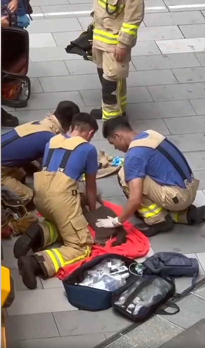 消防員為兩隻貓咪施心外壓。(網上片段截圖)