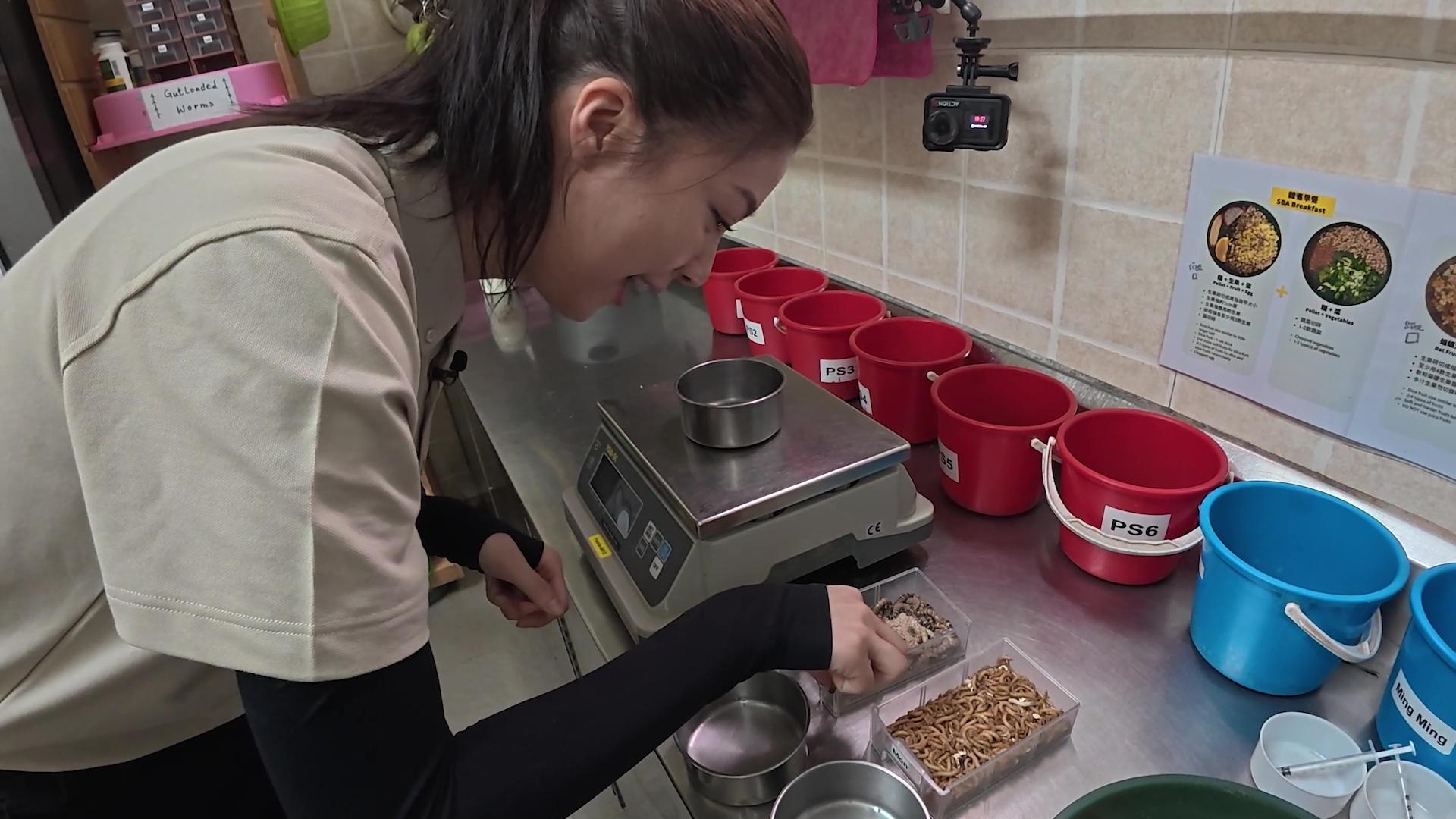 陳曉華畀蟲蟲嚇到彈起連環圖真係勁搞笑。