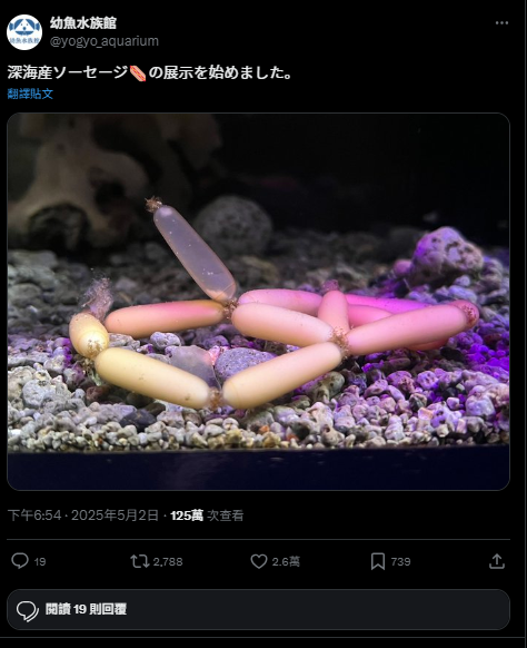 水族館展出「深海小香腸」?惹網民熱議