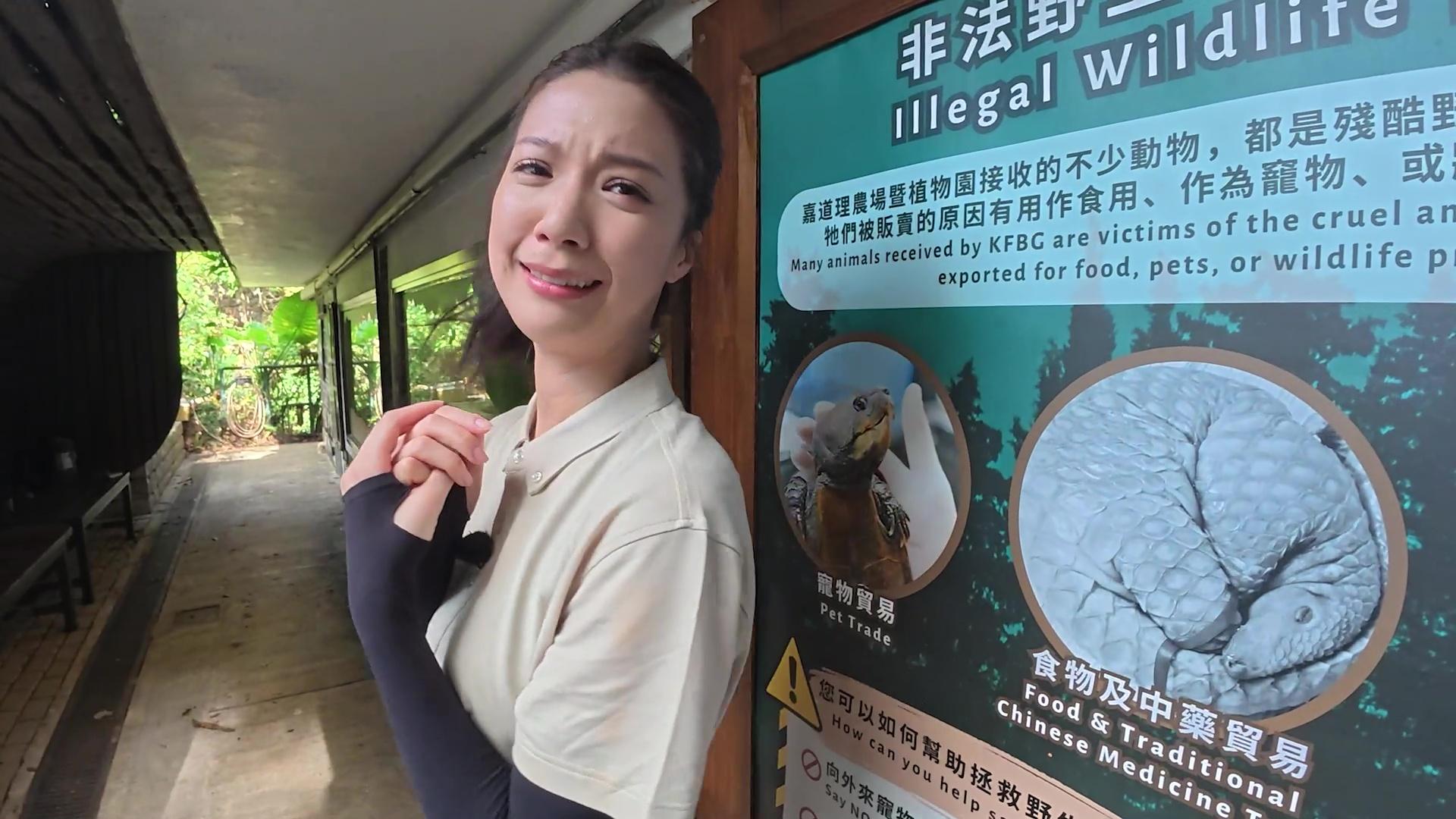 陳曉華登場是試做一日動物護理員。