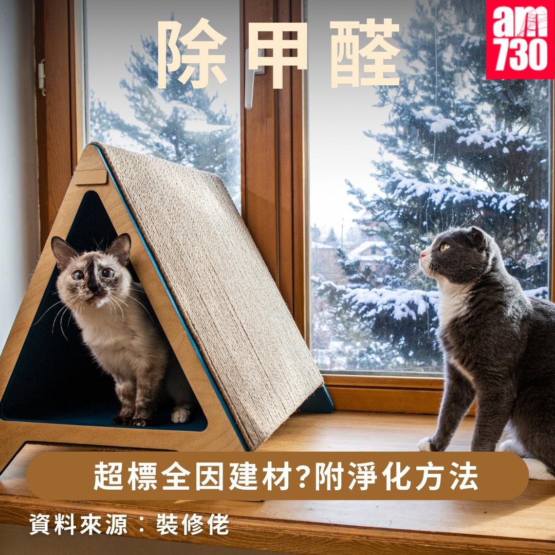 除甲醛方法|超標全因建材?附淨化方法(am730製圖)