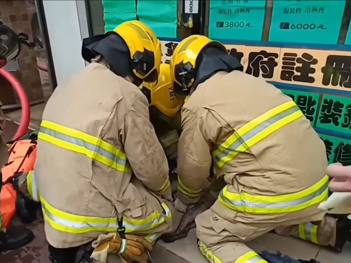 消防員為貴婦狗戴上氧氣罩,又進行心外壓急救。(有線新聞截圖)