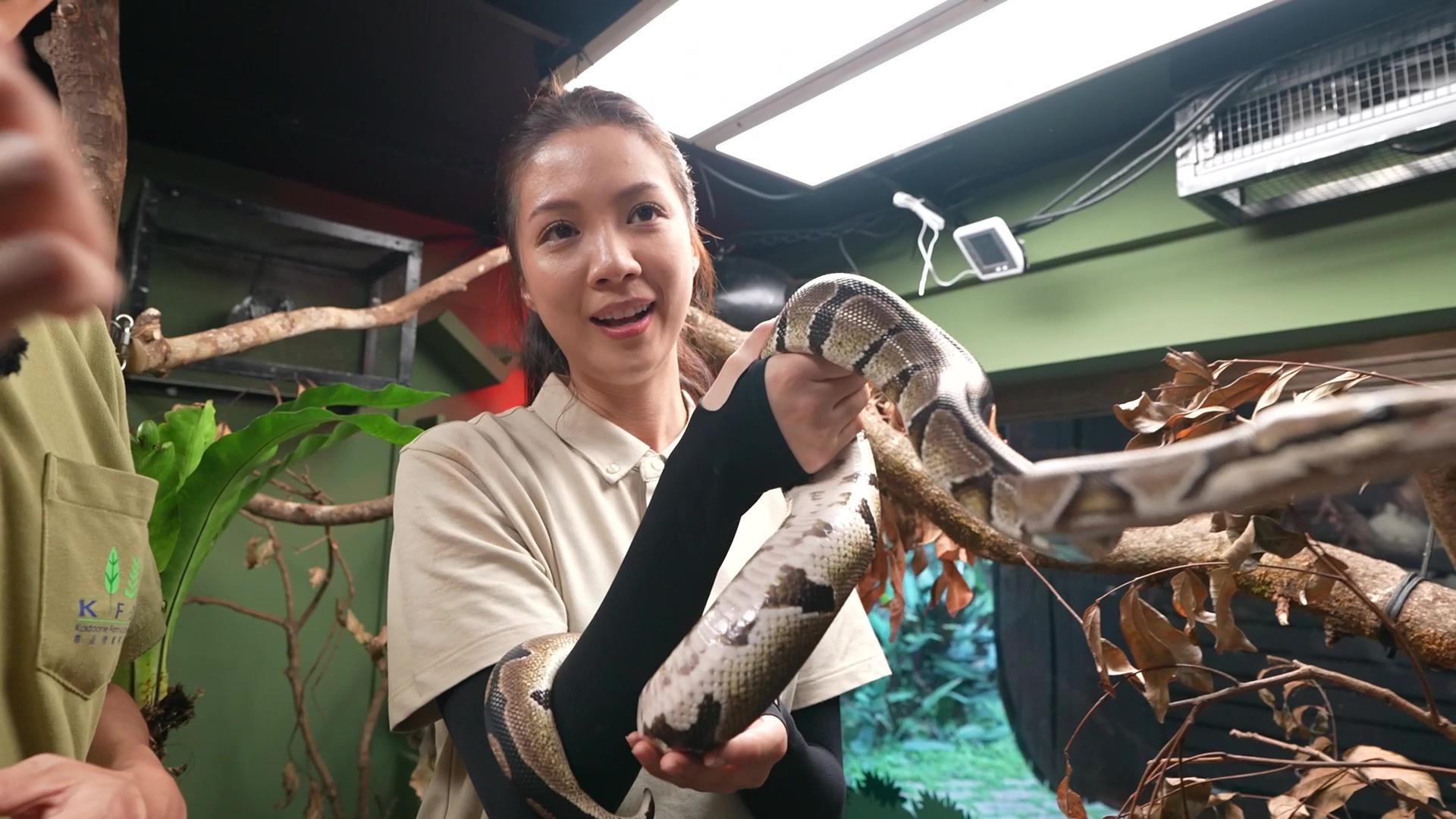 陳曉華成功克服恐懼。