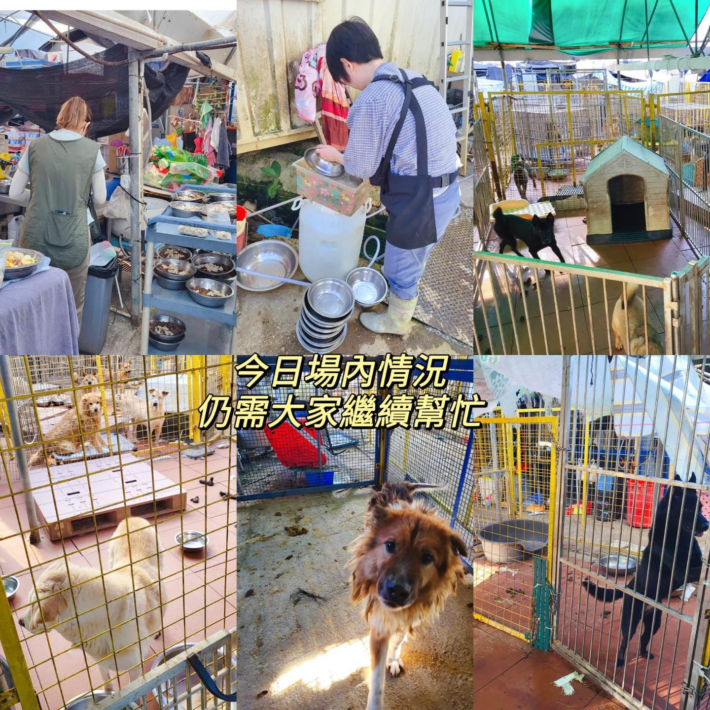 流浮山狗場遭不明貨車堵塞出入口。(fb「Kelly Animals Shelter - KAS 」圖片)