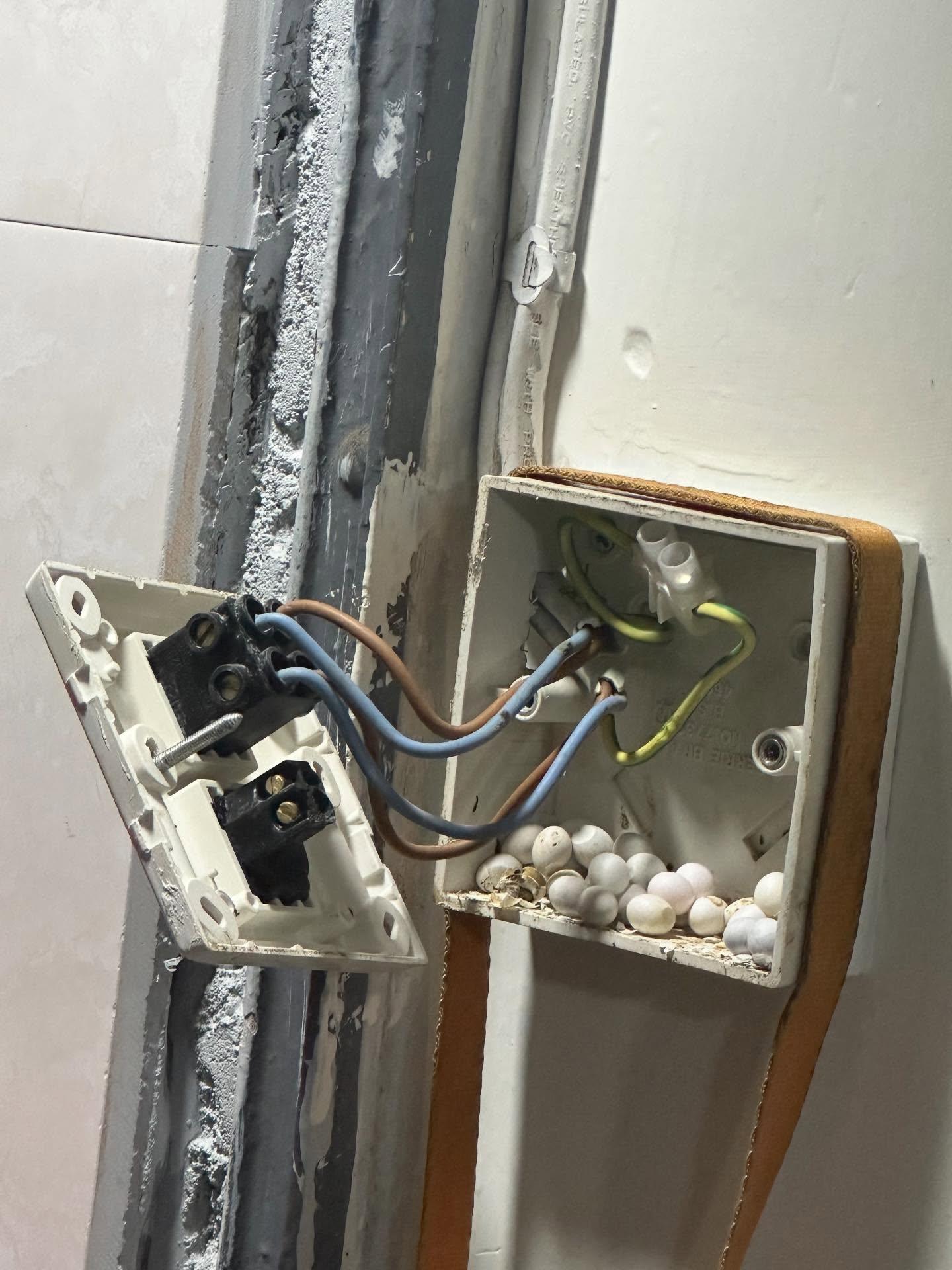 有港女於網上發文分享,室內電掣藏有大堆不明白色蛋。有蛋已破殼,地上亦有跌碎蛋殼。(Threads圖片)