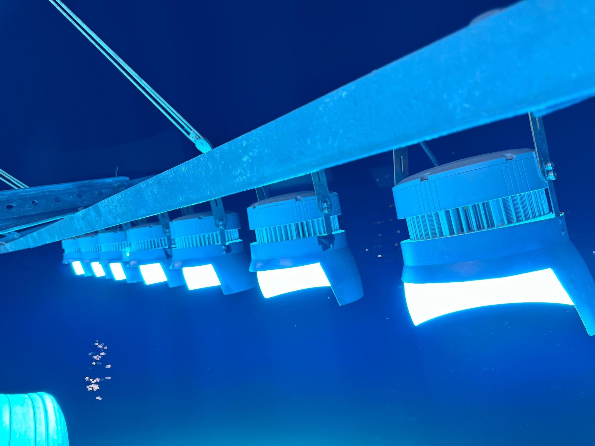 新設計可以減少光燈捕魚所引致的光滋擾,亦符合法例要求同安全準則