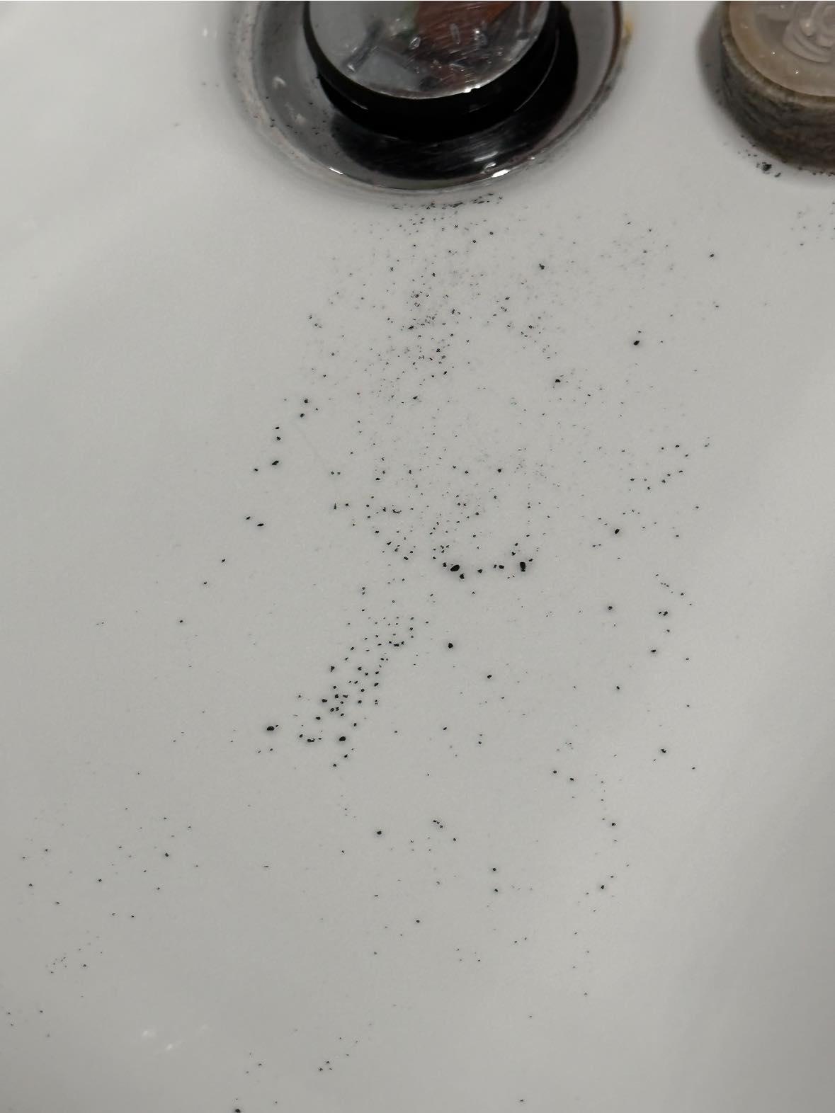 皇后山邨食水現不明黑點(FB群組圖片)