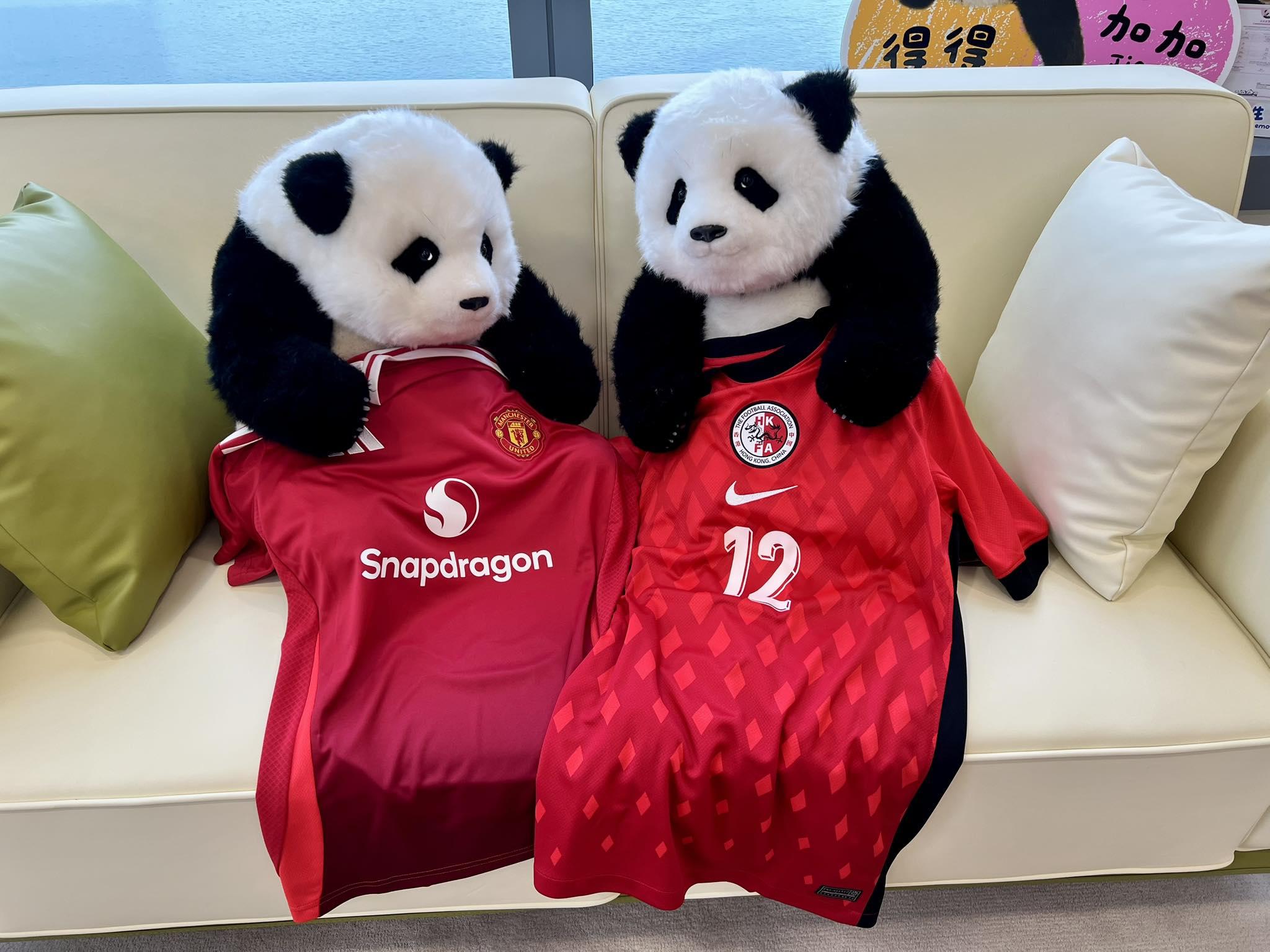 英超球隊曼聯今晚(30日)8時在大球場與香港足球代表隊踢友賽,身為曼聯球迷的文化體育及旅遊局局長的羅淑佩,早上在社交平台上透露自己會到場支持愛隊。她又再次撰文上演「小劇場」以「港產大熊貓」加加、得得的身份,為羅淑佩穿邊件波衫作建議。(羅淑佩fb)