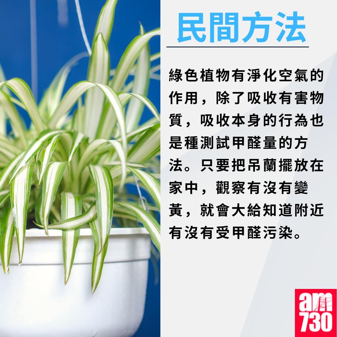 除甲醛方法|民間方法(am730製圖)