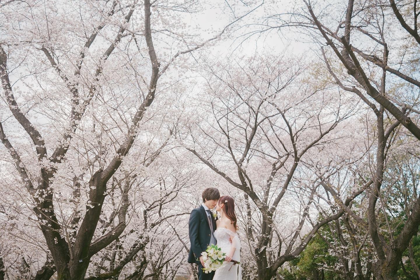 陳嘉倩宣布結婚的好消息,貼出一輯結婚靚相。