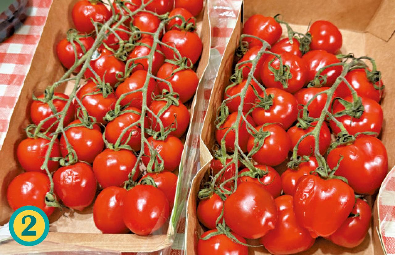 香草油浸半乾小番茄