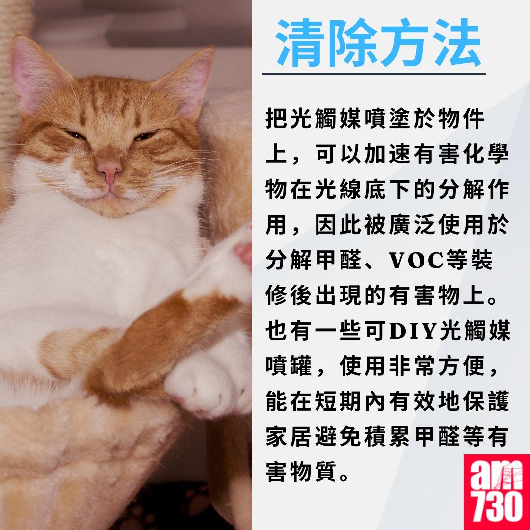 除甲醛方法|清除方法(am730製圖)