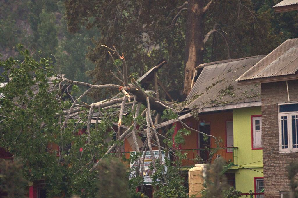印控克什米爾普爾瓦馬地區疑有印度軍機被擊落,房屋及樹木受損。(美聯社)