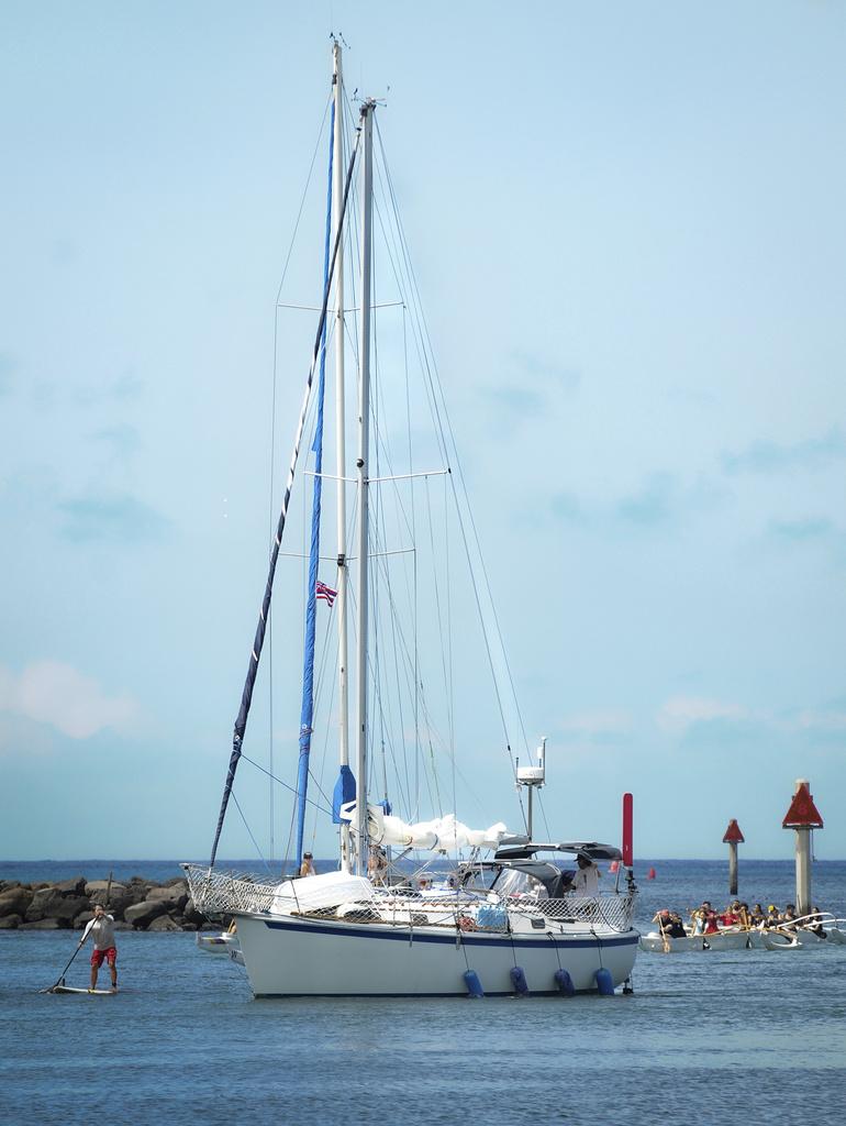 患上罕見病的Oliver Widger裸辭後與愛貓橫渡太平洋。(美聯社)