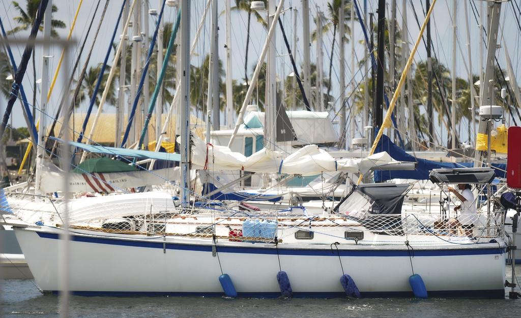 患上罕見病的Oliver Widger裸辭後與愛貓橫渡太平洋。(美聯社)