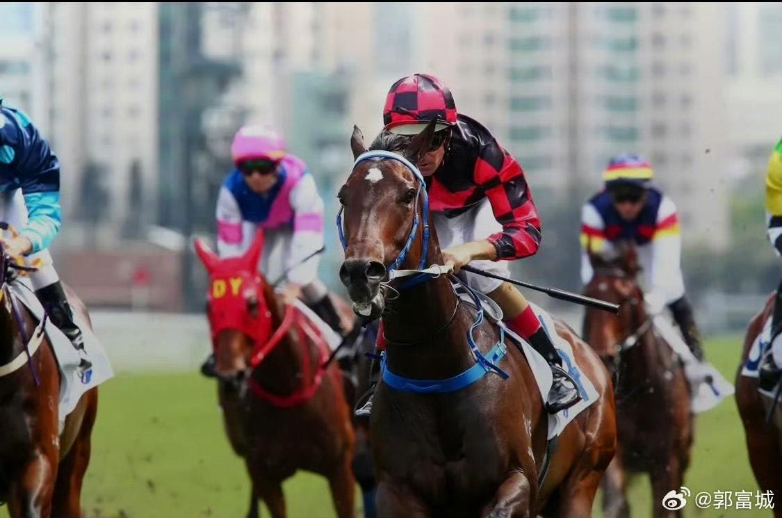 郭富城的愛駒來港後即經歷多次傷患,休養近兩年。