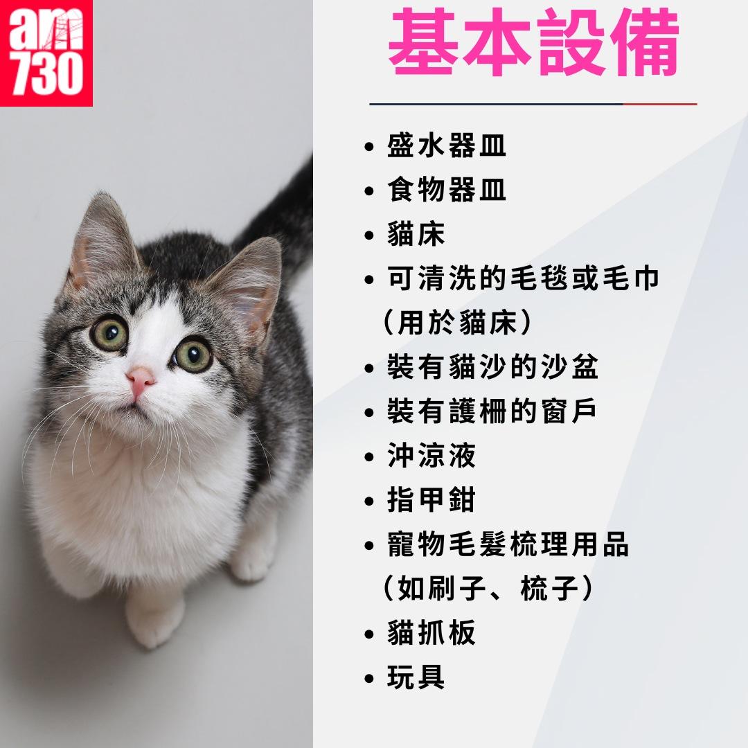 養貓注意事項|基本設備(am730製圖)
