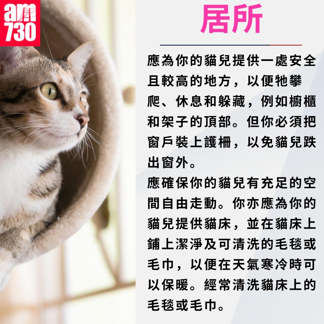 養貓注意事項|居所(am730製圖)