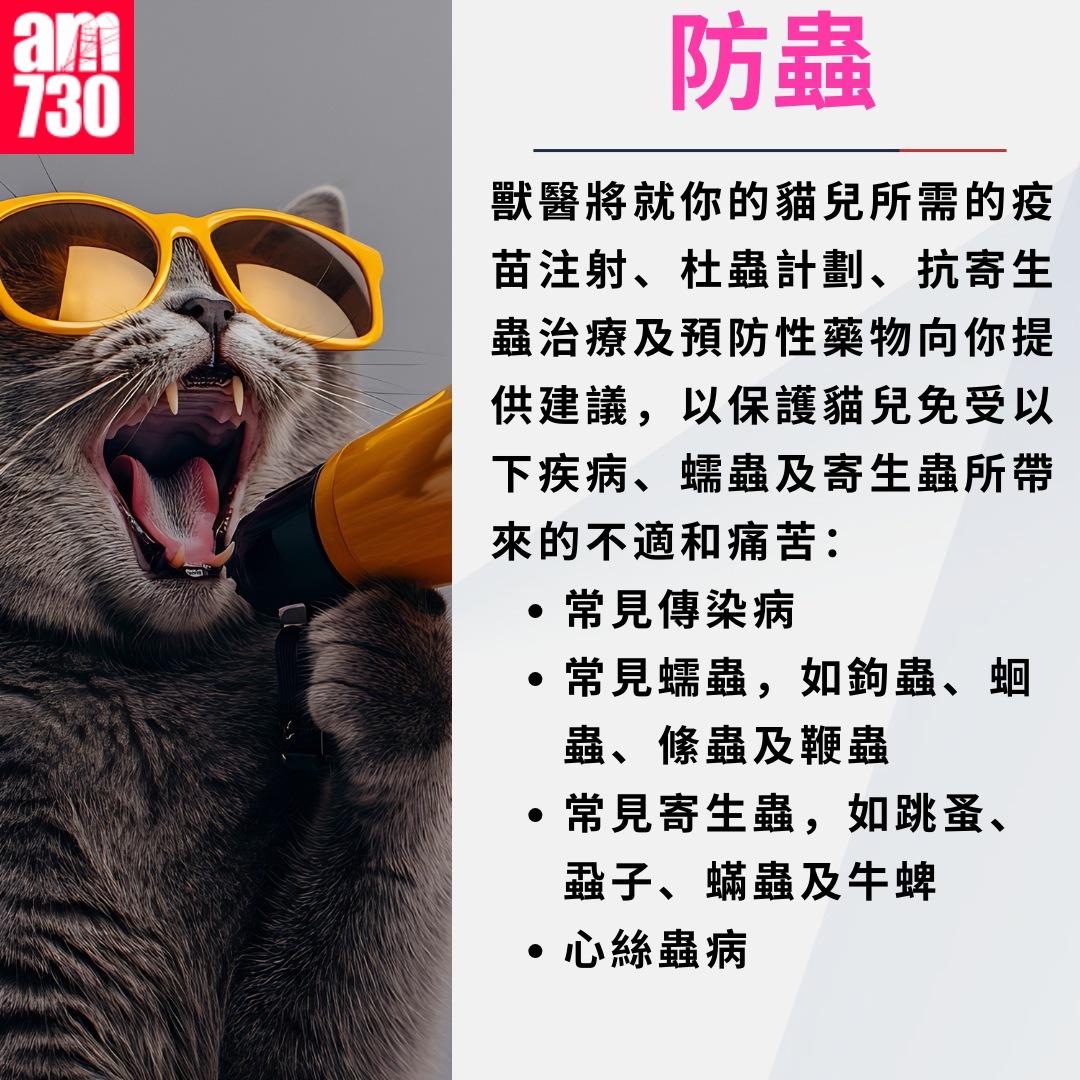 養貓注意事項|防蟲(am730製圖)