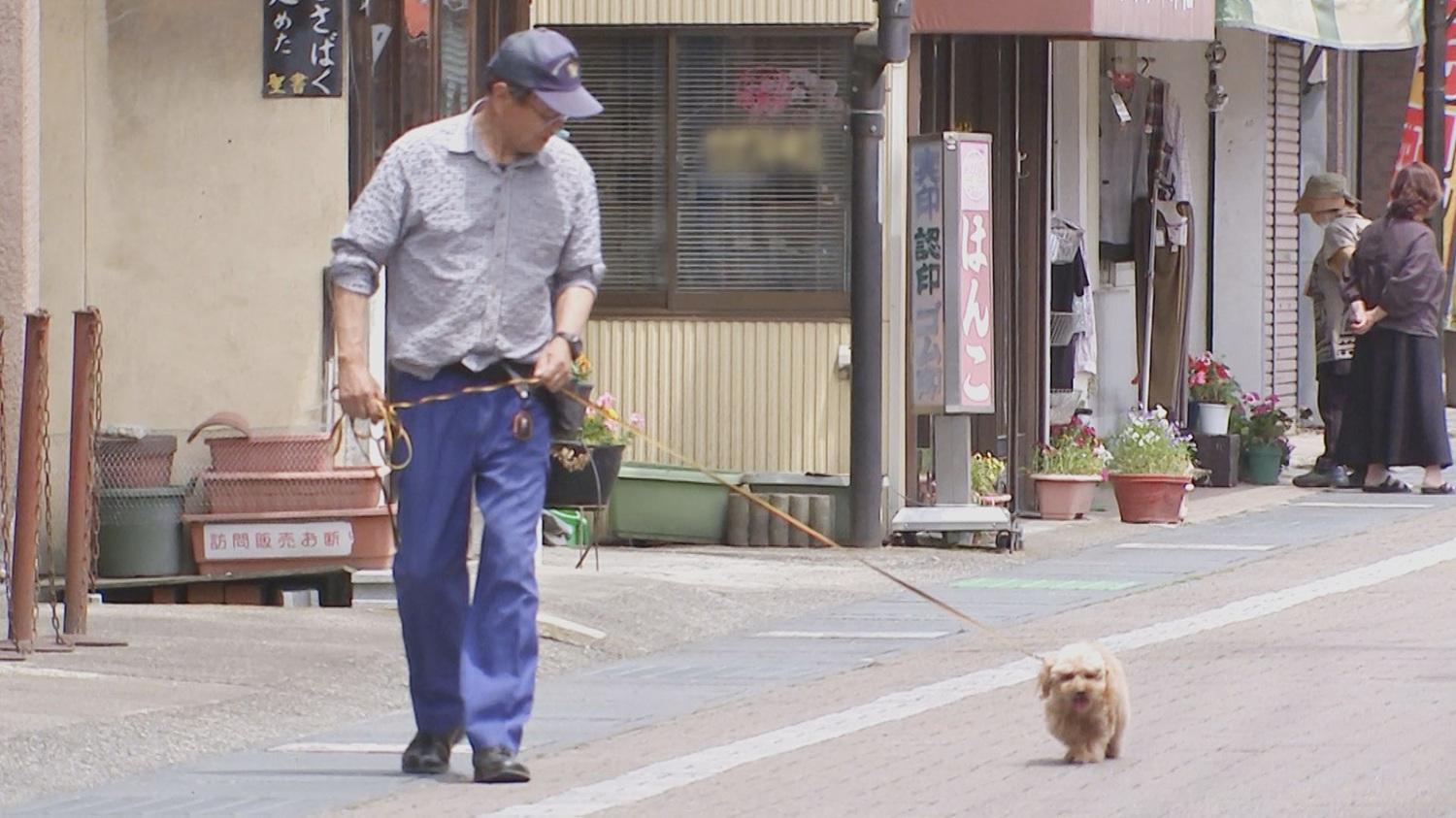 日本貴賓犬警犬艾利。(TBS電視台)