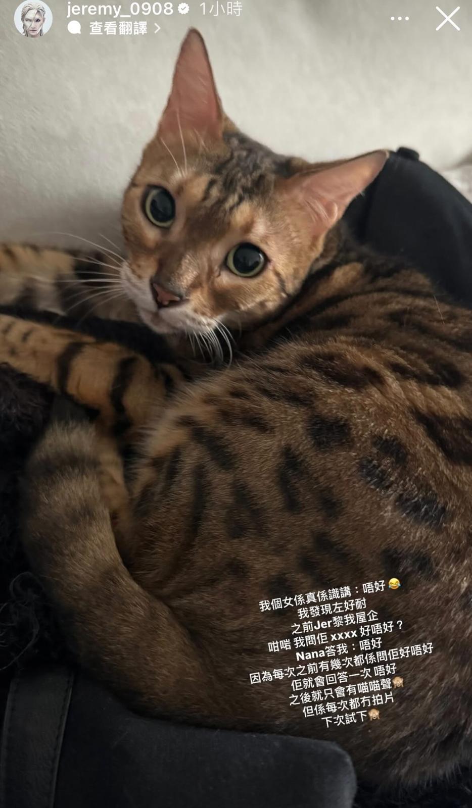 Jeremy的愛貓Nana懂說「唔好」。
