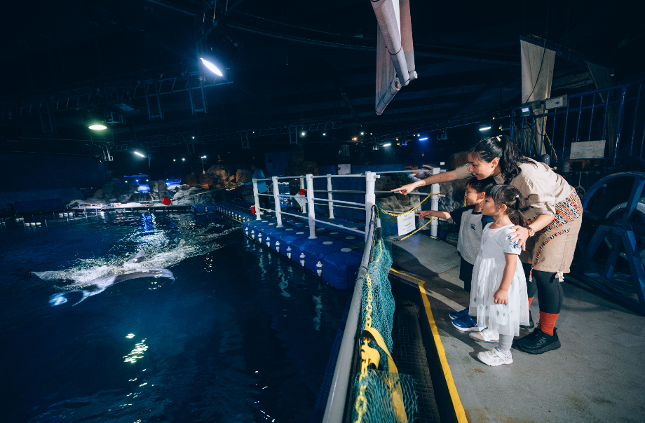 觀看角鵬餵飼教育示範