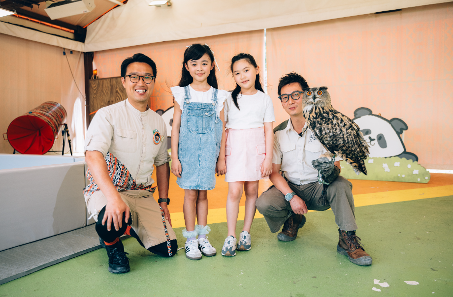 近距離與鵰鴞見面