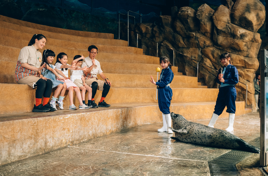 近距離觀察斑海豹教育示範