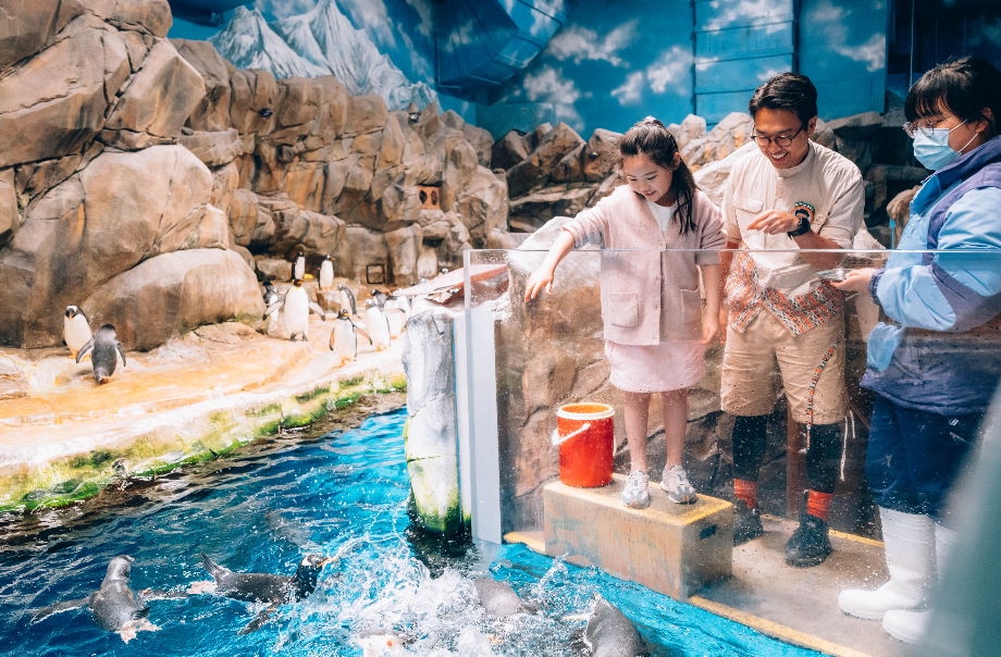 探索海洋哺乳動物的世界