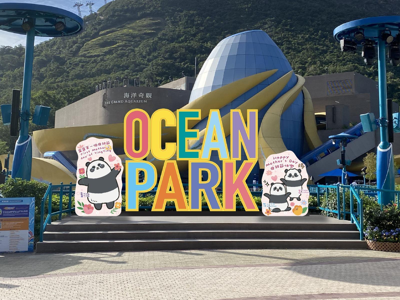 大熊貓主題最「熊」拍照熱點