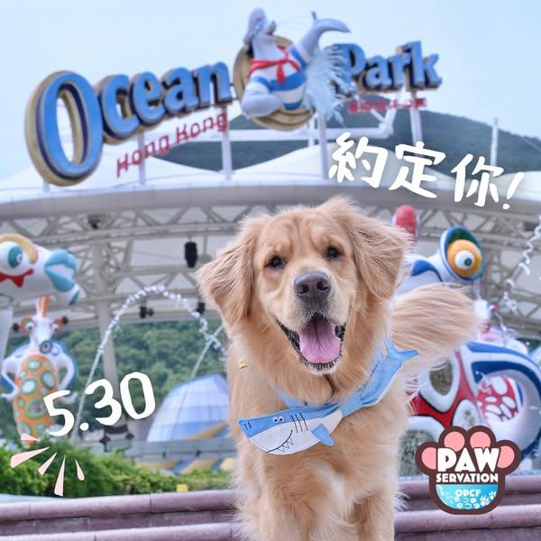 狗狗保育嘉年華