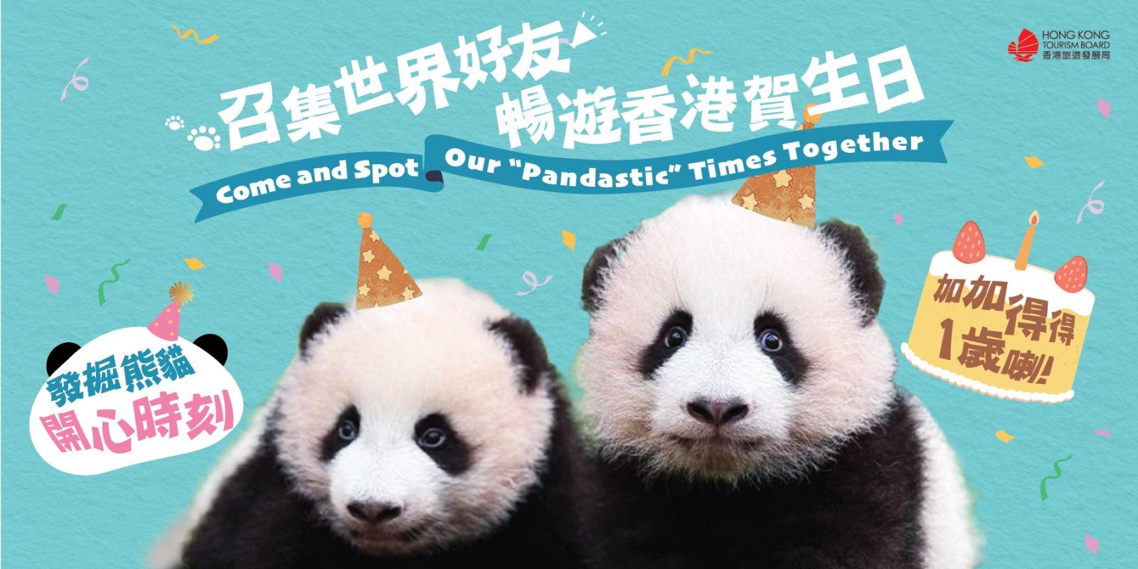 海洋公園大熊貓龍鳳胎寶寶一歲生日