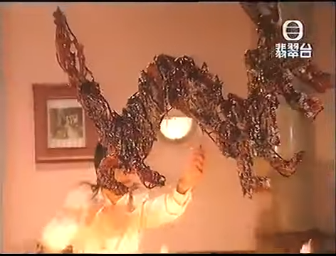 霆鋒整出「飛龍叉燒」。