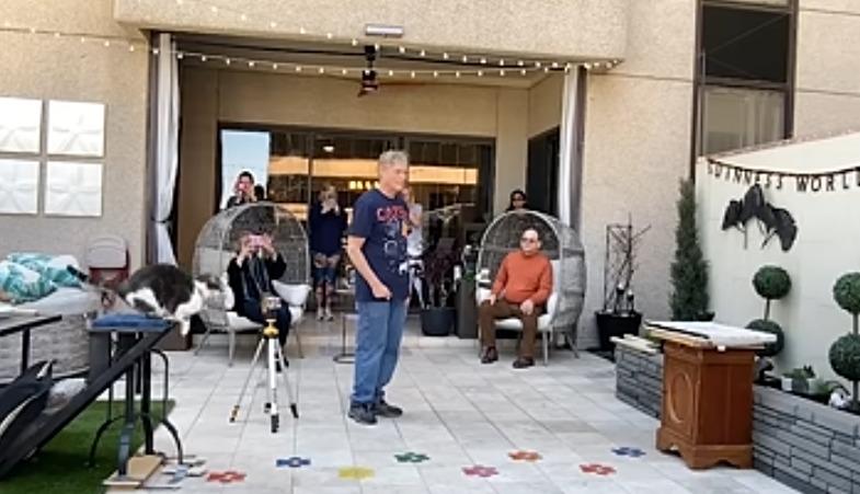 Oscar儲力準備起跳。(影片截圖)