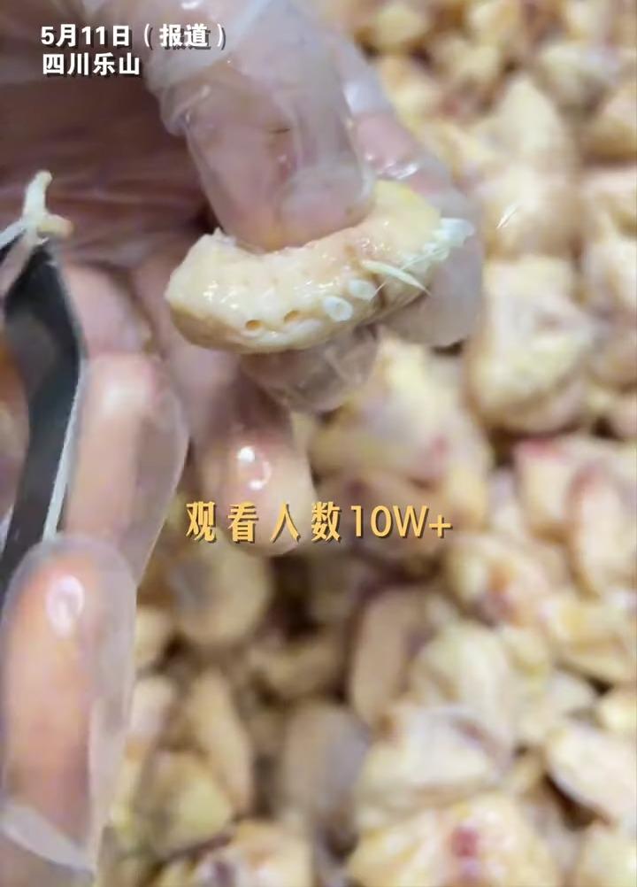 「拔雞屁股毛」直播,最高觀看人數達1萬。